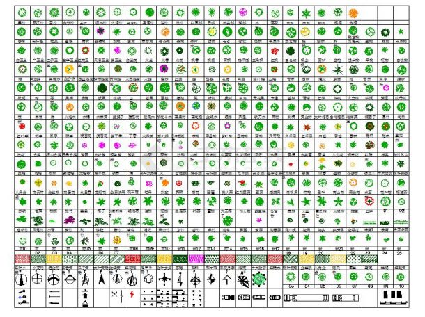 常见景观树木的平面图立面图cad版