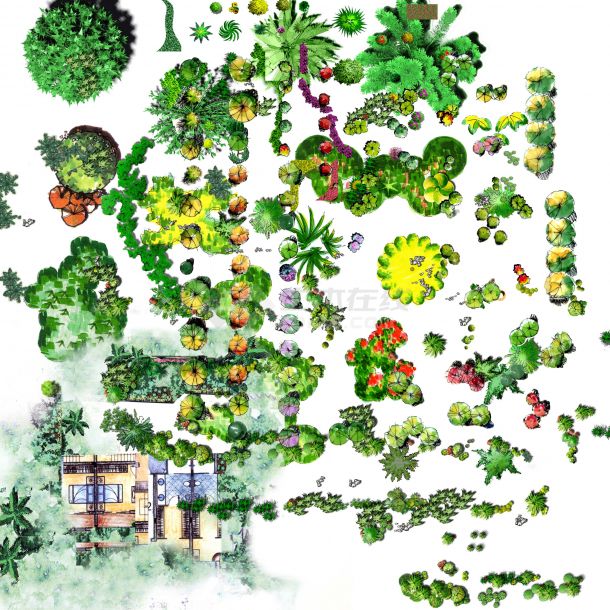 超多园林植物手绘平面图