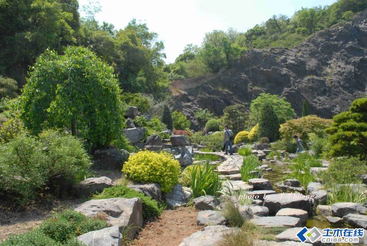 岩石园:岩石园是指模拟自然界岩石及岩生植物的景观,附属于公园内或