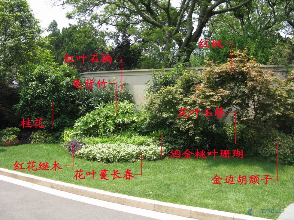 别墅景观植物分析(实例)
