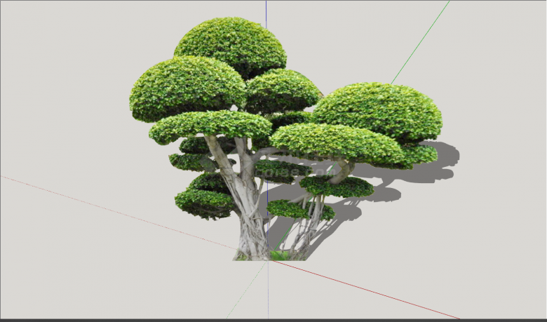 蘑菇伞状造型景观树su模型-图一