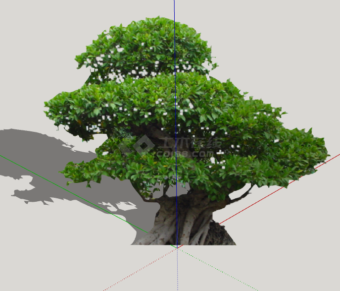 清新2D造型景观树组合su模型-图二