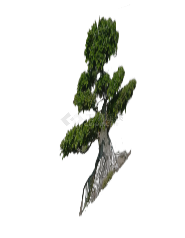 土石2D造型景观树组合su模型-图一