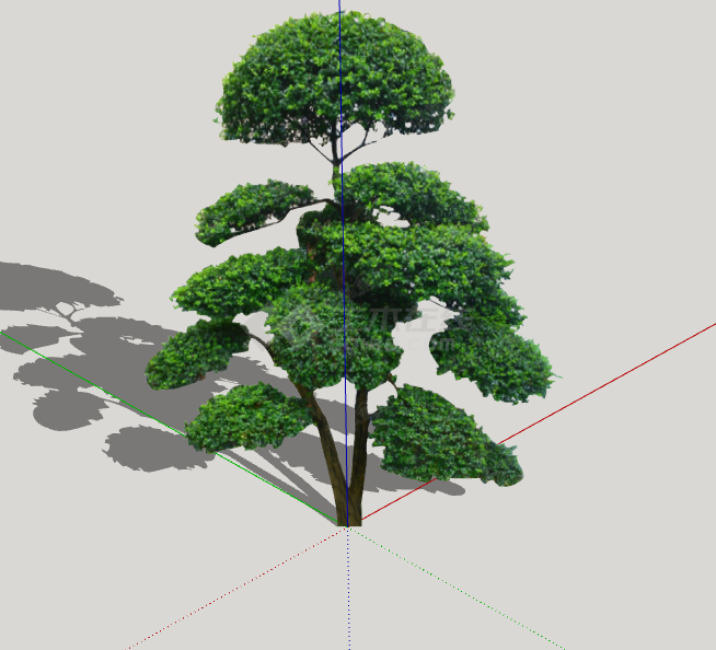 树干细现代优美造型树su模型-图一