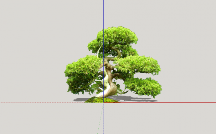 现代浅绿色单颗造型树su模型_图1