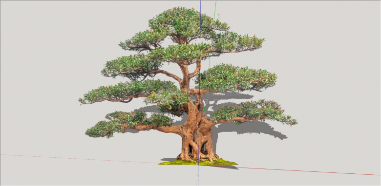 现代具观赏性造型树 su模型-图一