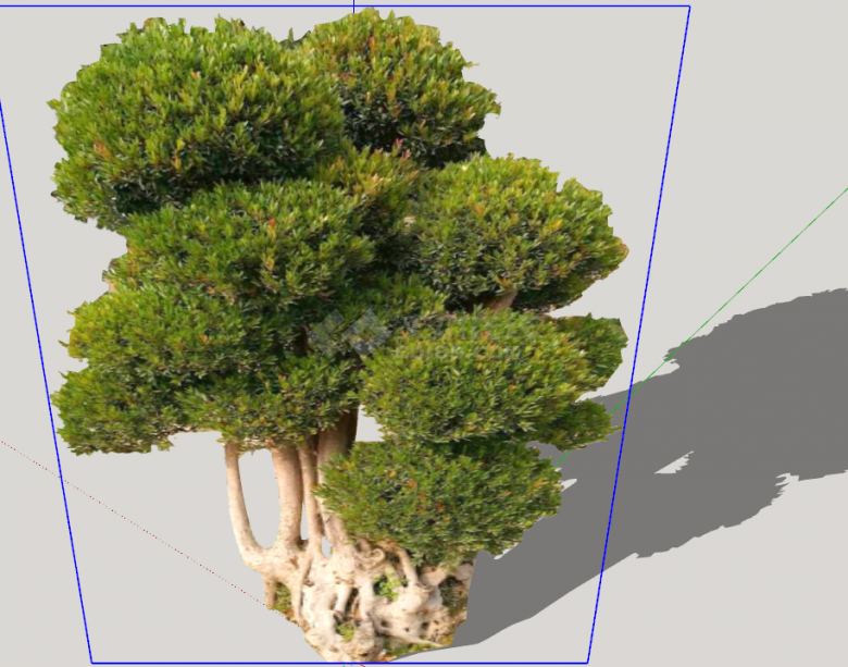 绿色带树干的优美造型树su模型-图二