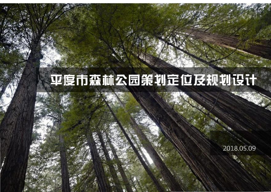 青岛平度国家森林公园策划及规划设计.pdf-图一