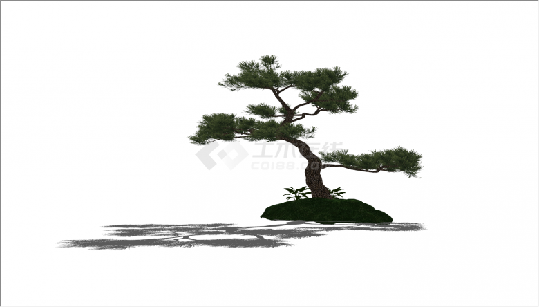 新中式绿色多枝松树景观树su模型-图二