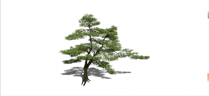 新中式罗汉松景观树su模型_图1
