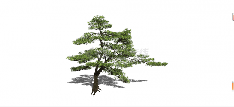 新中式罗汉松景观树su模型-图一