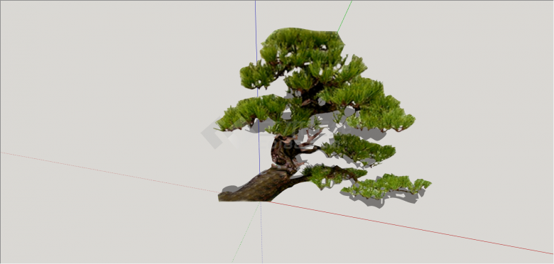 现代单棵多绿叶造型树su模型-图二