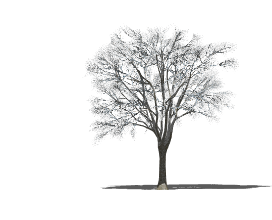 散开的枯木植物树木su模型_图1