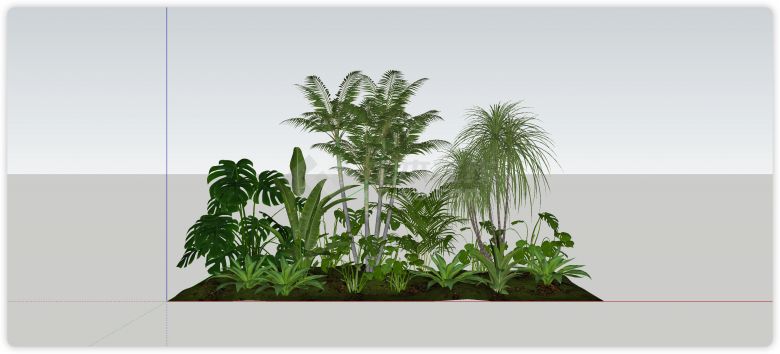 棕榈树绿色植物灌木su模型-图一