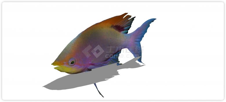 幻彩热带鱼水族馆鱼类动物组合su模型-图二
