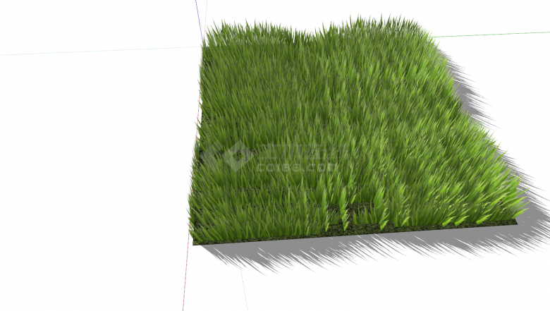 地被植物杂草正方形su模型-图二