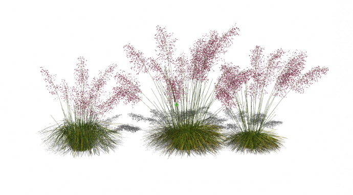 现代三水生植物su模型_图1
