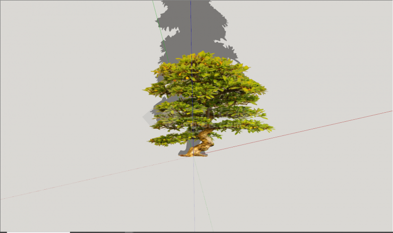 现代公园绿化造型树su模型-图一
