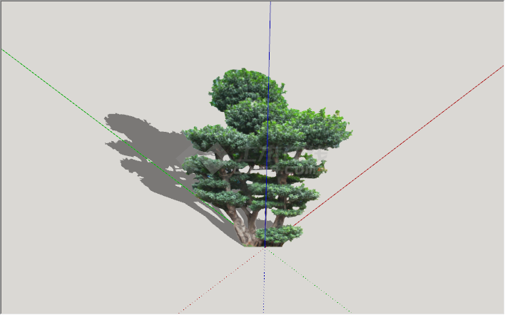 现代绿丝带造型树景观植物su模型-图二