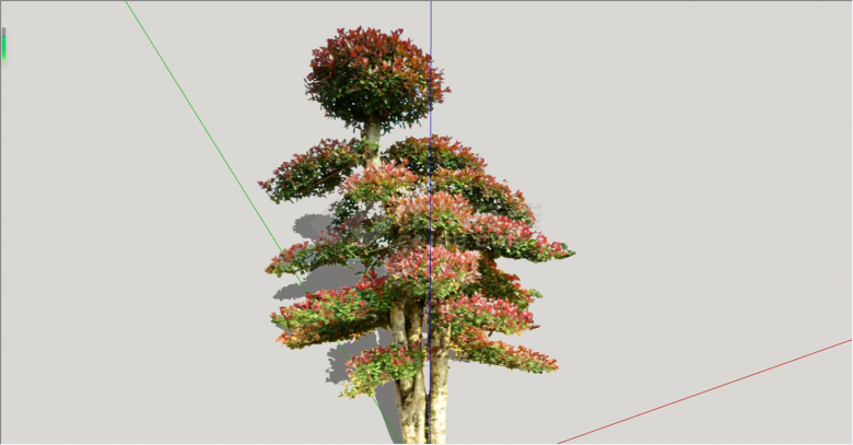 现代红枫绿丝带造型树su模型-图二