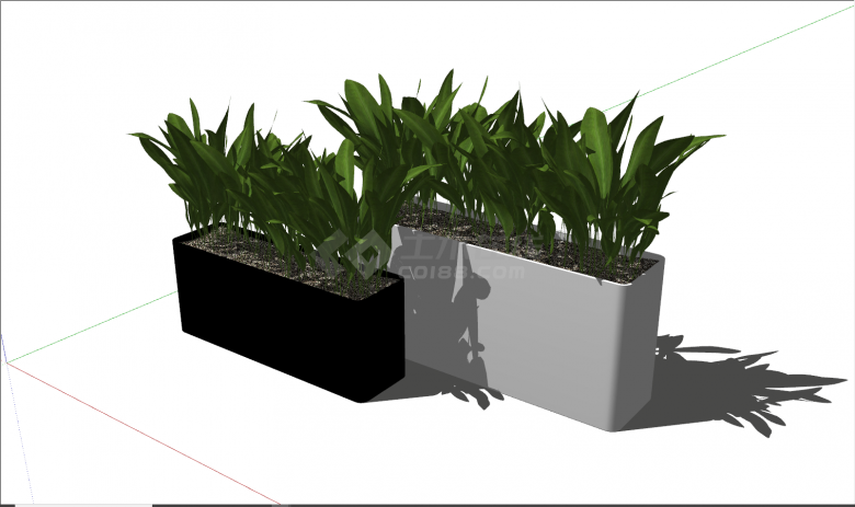 现代黑白长形绿植盆栽su模型-图二