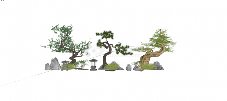 庭院绿化罗汉松造型树su模型-图二