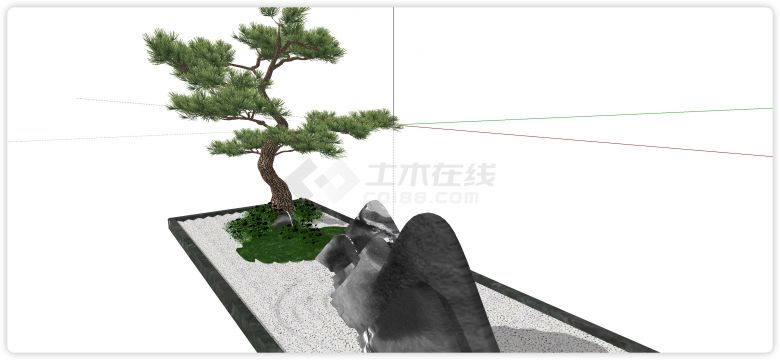 弯曲树干罗汉松造型树su模型-图二