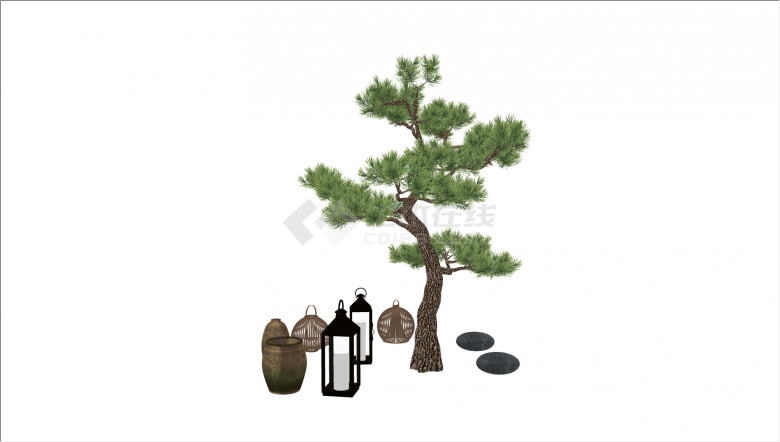 中式小型罗汉松造型树su模型-图二