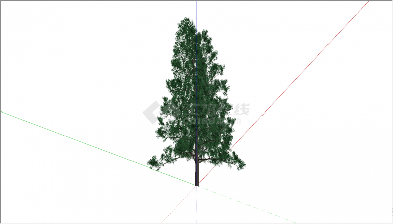 一颗带有茂密树叶的大树su模型-图二