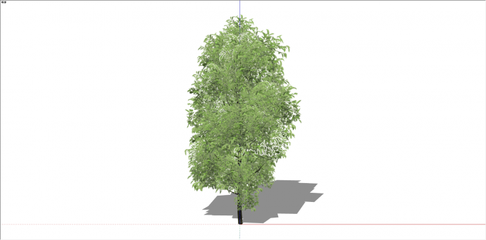 都市景区观赏性造型树su模型_图1