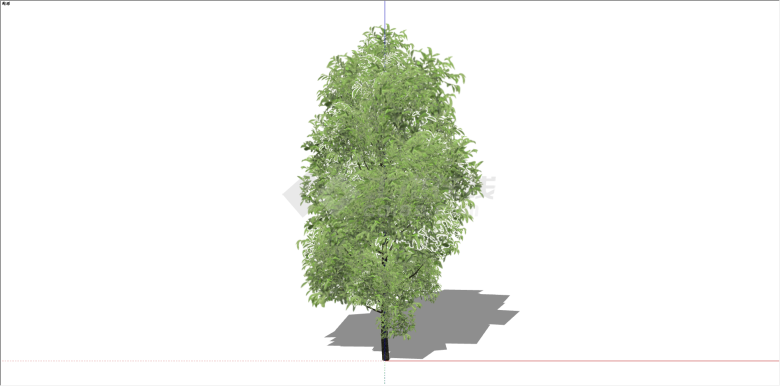 都市景区观赏性造型树su模型-图一