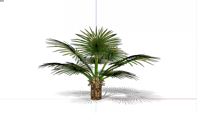 一棵棕榈科绿色灌木 su模型-图一