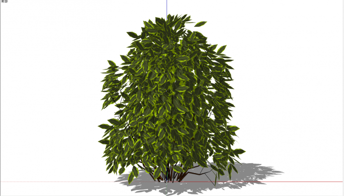 一棵小叶子绿色灌木 su模型_图1