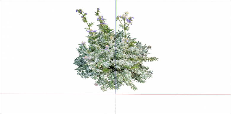 紫色花卉绿叶植物su模型-图二