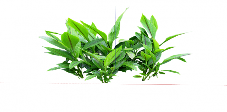 可盆栽养殖常绿植物su模型-图二