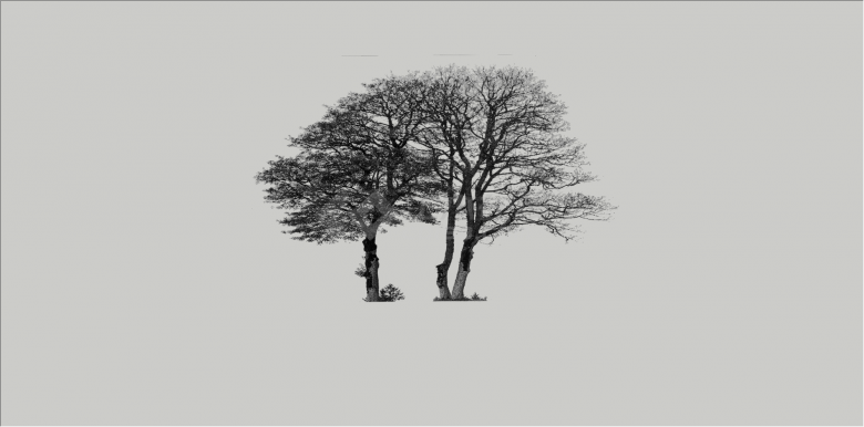 黑白剪影系列造型树su模型-图二