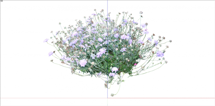 家居观赏性花卉植物su模型_图1