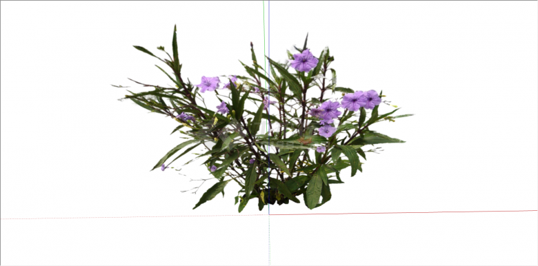 居家养殖紫色花植物su模型-图一