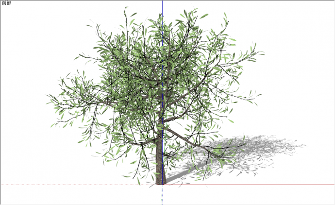 现代常绿槲寄生灌木植物su模型_图1