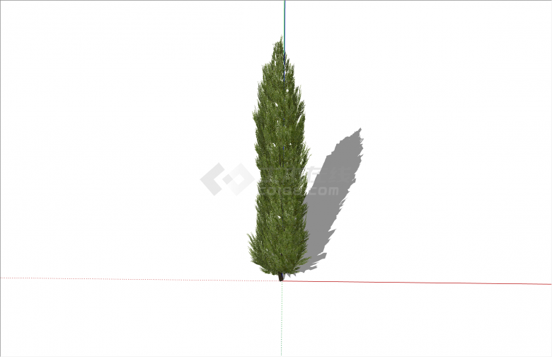 独特超高细长绿色乔木su模型-图二