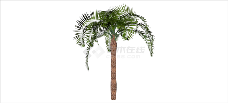 美丽葱茏棕榈热带树木su模型-图二