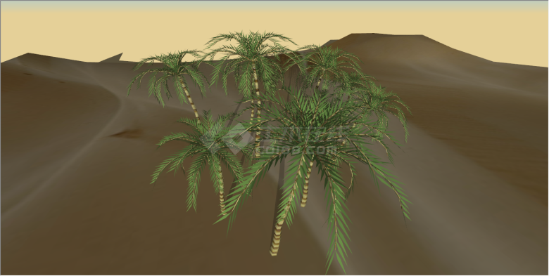 聚集式绿色棕榈热带树su模型-图二
