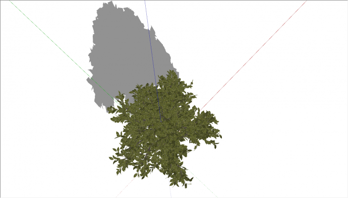 深绿色叶片小型乔木su模型_图1