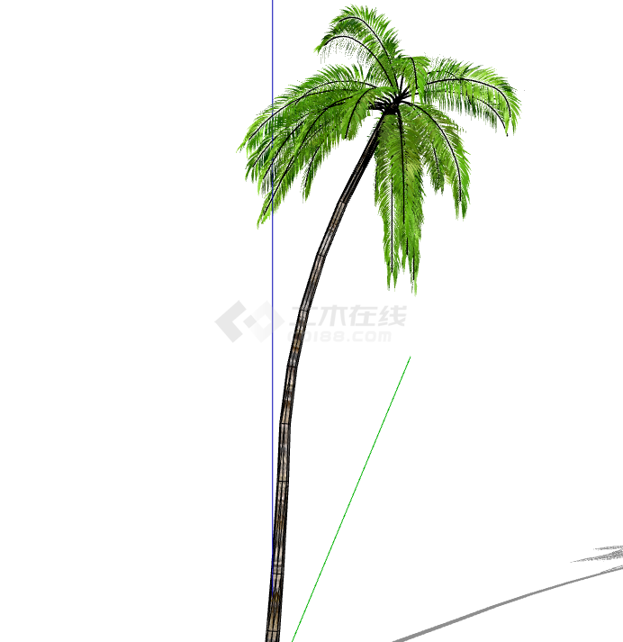 弯曲高耸现代3D热带树su模型-图一