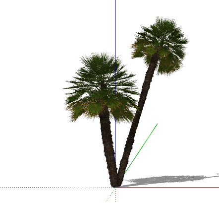 黑色现代简约3D热带树su模型-图一