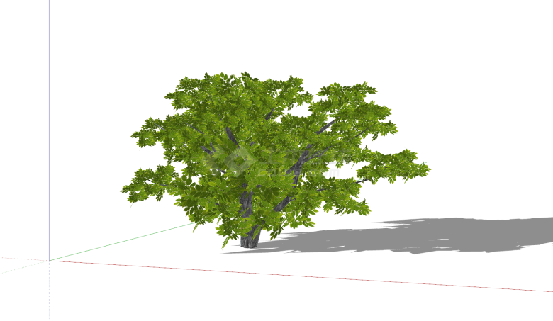 绿色乔木椭圆形树叶su模型-图一