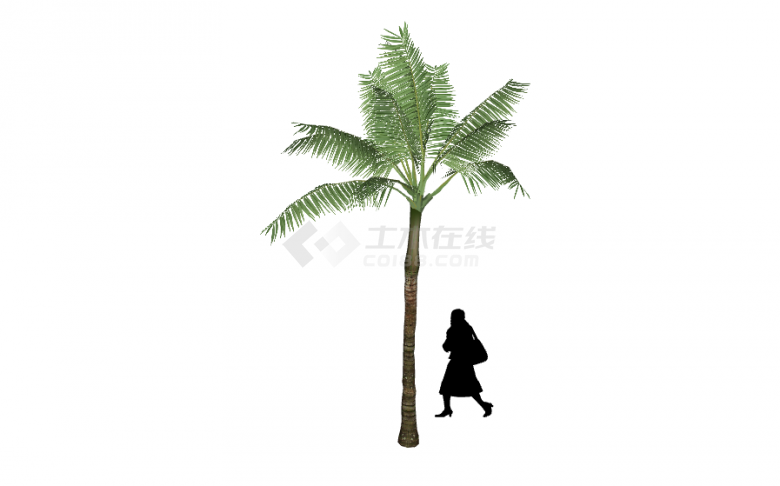 一颗热带树下站了一位女士su模型-图二