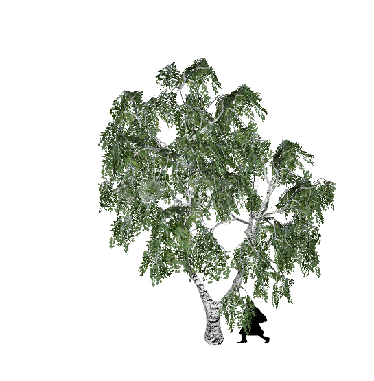现代翠绿挺拔柳树树木su模型-图二