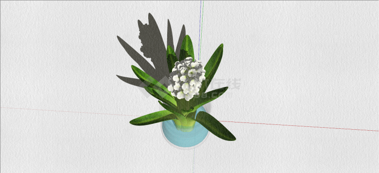 风信子科风信子室内植物su模型-图二