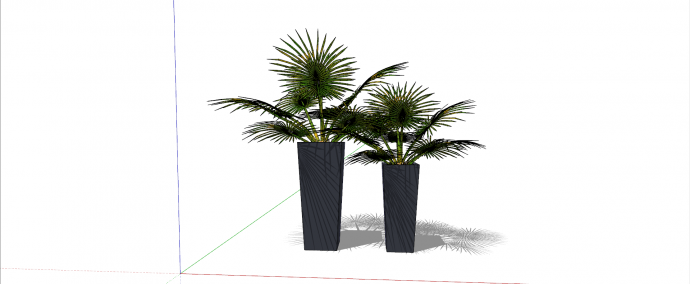 棕榈科中国扇棕室内植物su模型_图1